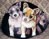 3chihuahua.jpg (73617 byte)