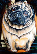carlino.jpg (57199 byte)