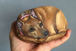sharpei.jpg (70436 byte)